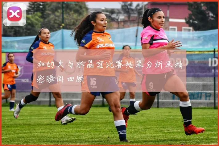 加的夫与水晶宫比赛结果分析及精彩瞬间回顾