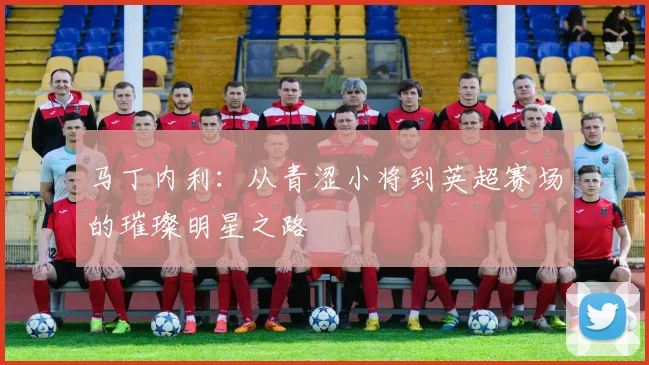 马丁内利：从青涩小将到英超赛场的璀璨明星之路