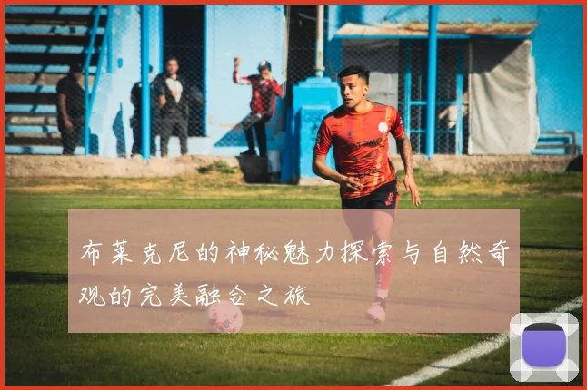 布莱克尼的神秘魅力探索与自然奇观的完美融合之旅
